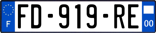 FD-919-RE