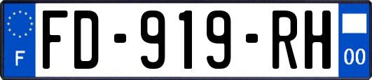 FD-919-RH