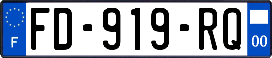 FD-919-RQ