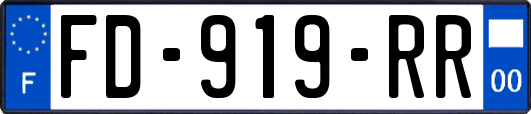 FD-919-RR