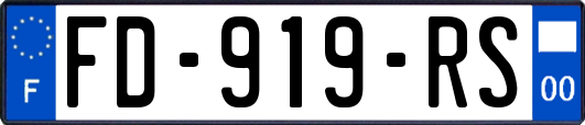 FD-919-RS