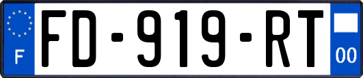 FD-919-RT