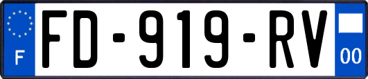 FD-919-RV