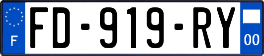 FD-919-RY
