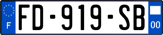 FD-919-SB
