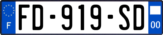 FD-919-SD