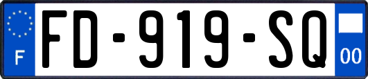 FD-919-SQ