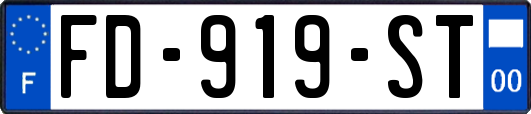 FD-919-ST
