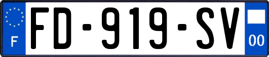 FD-919-SV