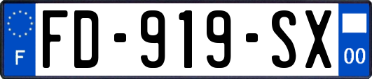 FD-919-SX