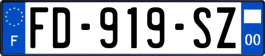 FD-919-SZ