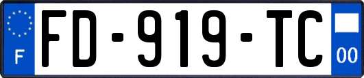 FD-919-TC