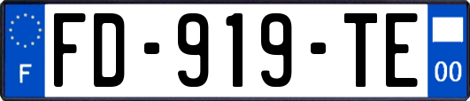 FD-919-TE