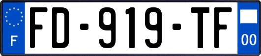 FD-919-TF