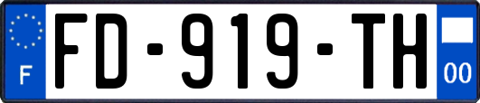 FD-919-TH
