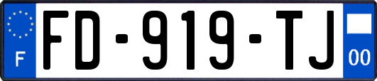 FD-919-TJ