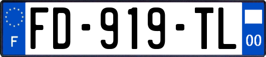 FD-919-TL