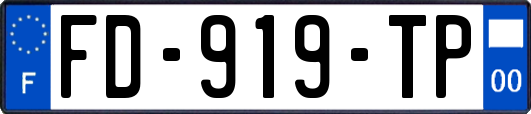 FD-919-TP
