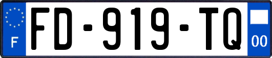 FD-919-TQ