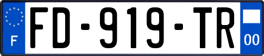 FD-919-TR