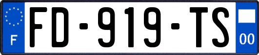 FD-919-TS