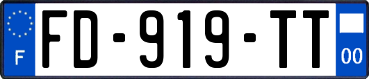 FD-919-TT
