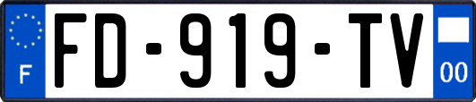 FD-919-TV