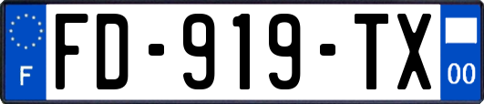 FD-919-TX