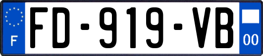 FD-919-VB