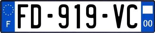 FD-919-VC