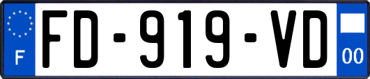 FD-919-VD