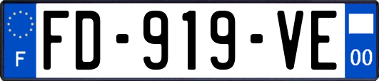 FD-919-VE