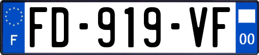 FD-919-VF