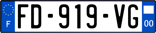 FD-919-VG