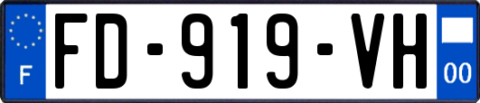 FD-919-VH