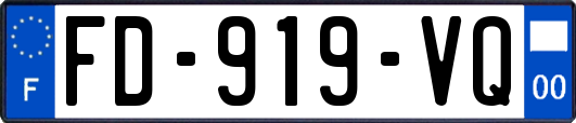 FD-919-VQ