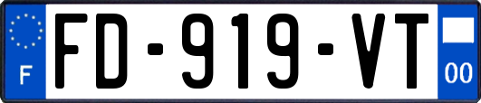 FD-919-VT