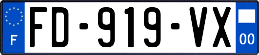 FD-919-VX
