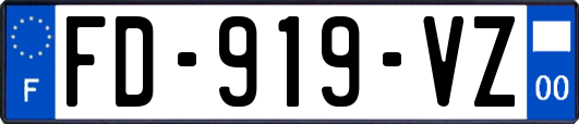 FD-919-VZ