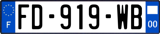 FD-919-WB