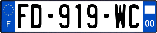 FD-919-WC