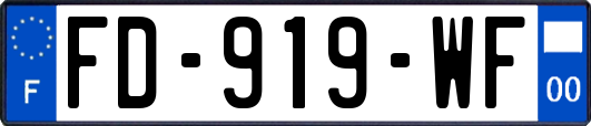 FD-919-WF