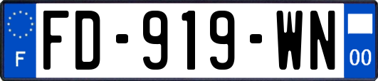 FD-919-WN
