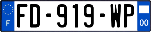 FD-919-WP