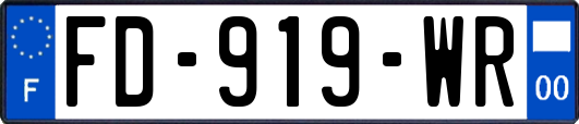 FD-919-WR