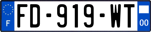 FD-919-WT