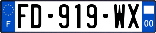 FD-919-WX