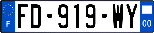 FD-919-WY