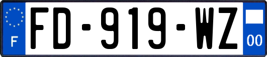 FD-919-WZ