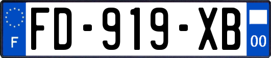 FD-919-XB